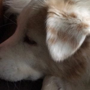 Meet your Posher, Tes